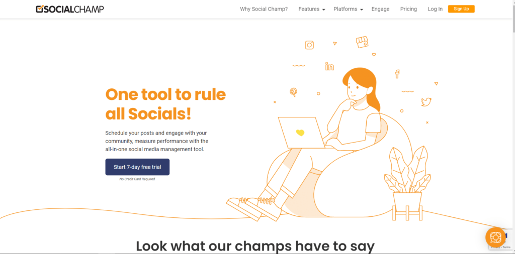 Social Champ -Blogging tool for beginner