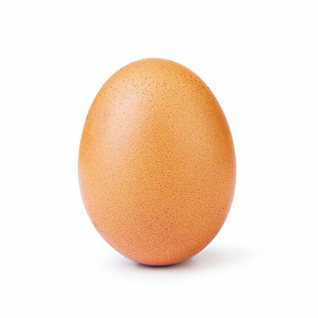 An egg