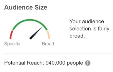 Audience Size