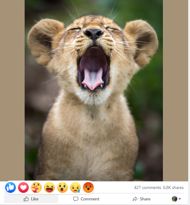 Facebook reactions