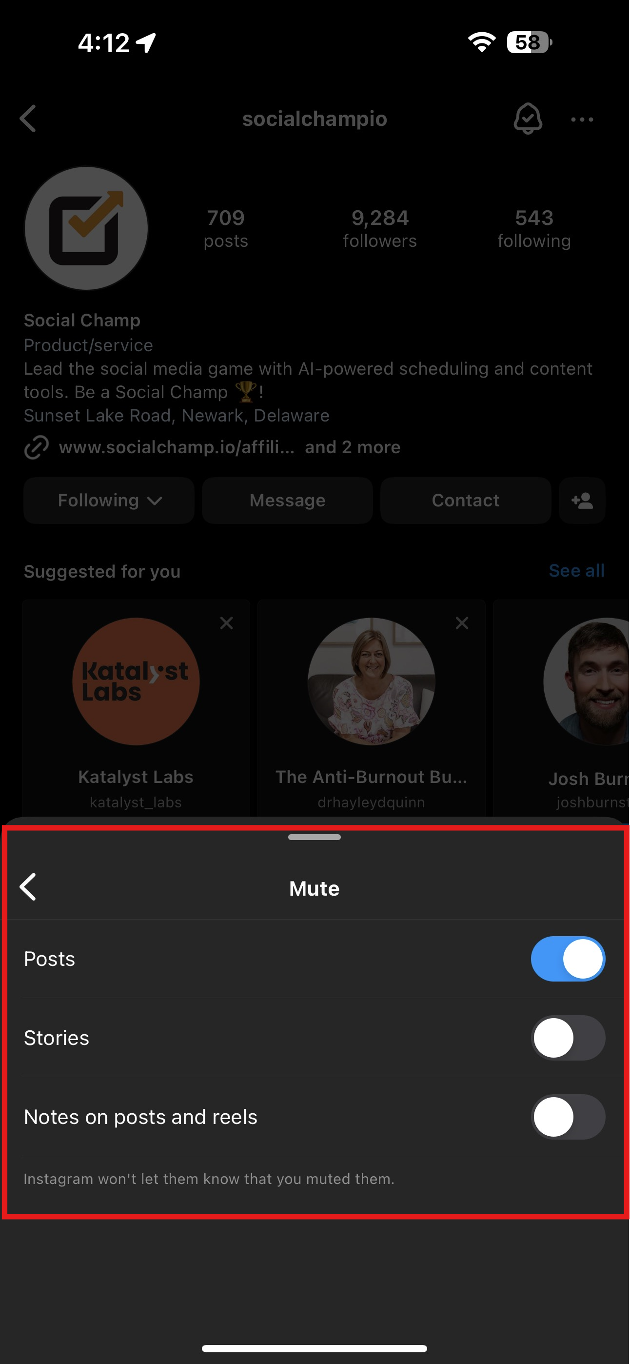 Mute Posts or Stories