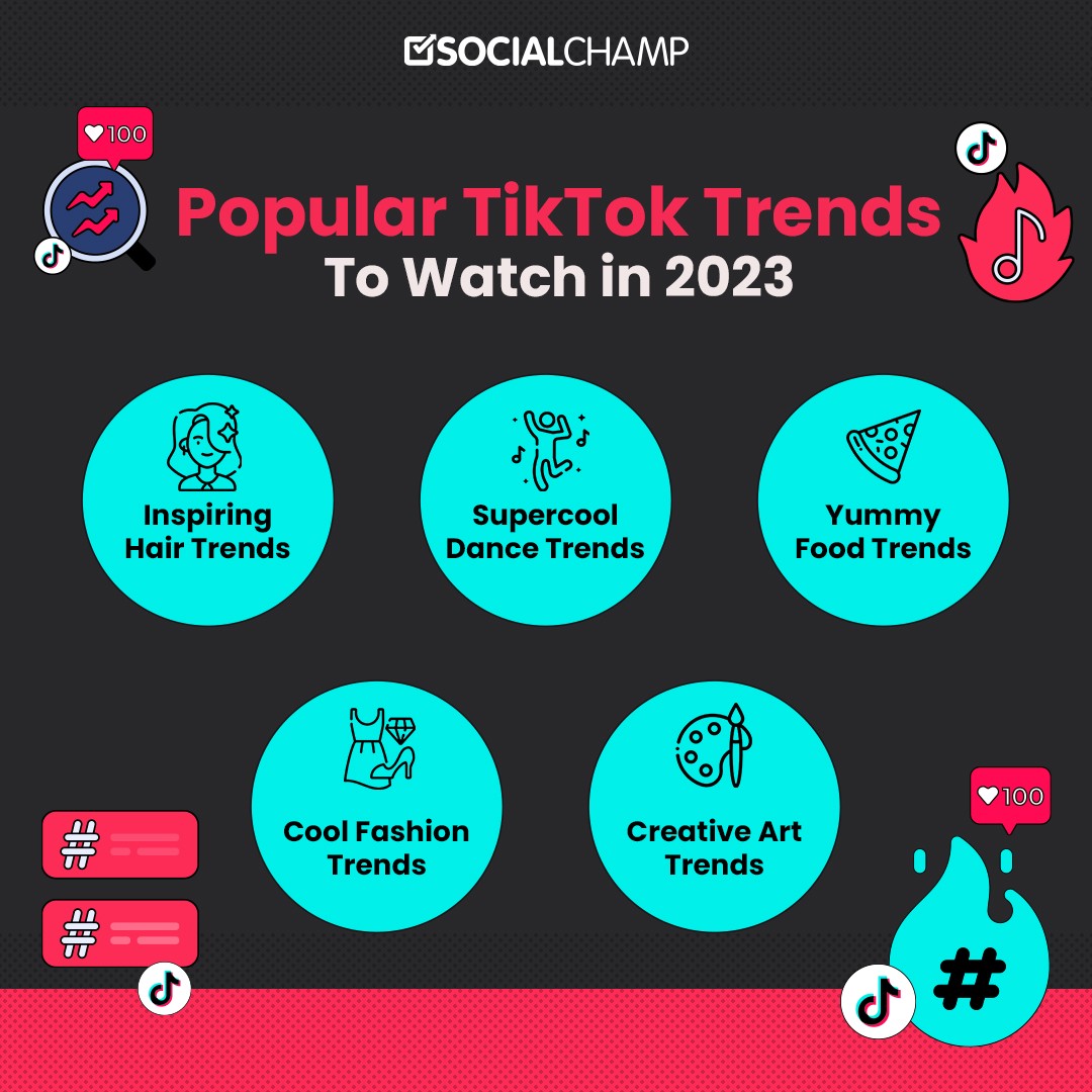 Appealing Infographics by Social Champ