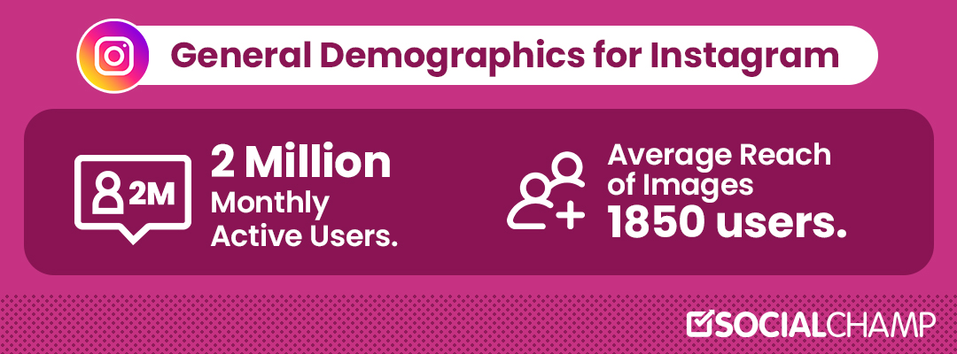 Insta-Demographics