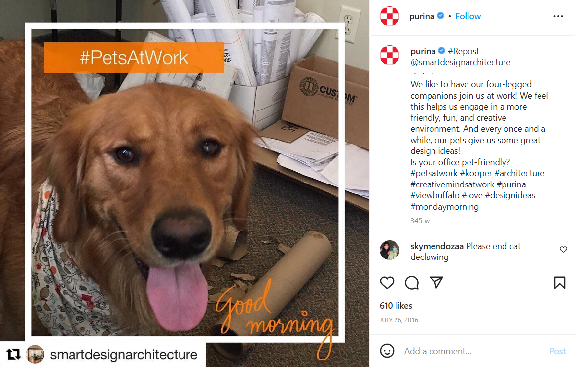 Pets at Work Campaign