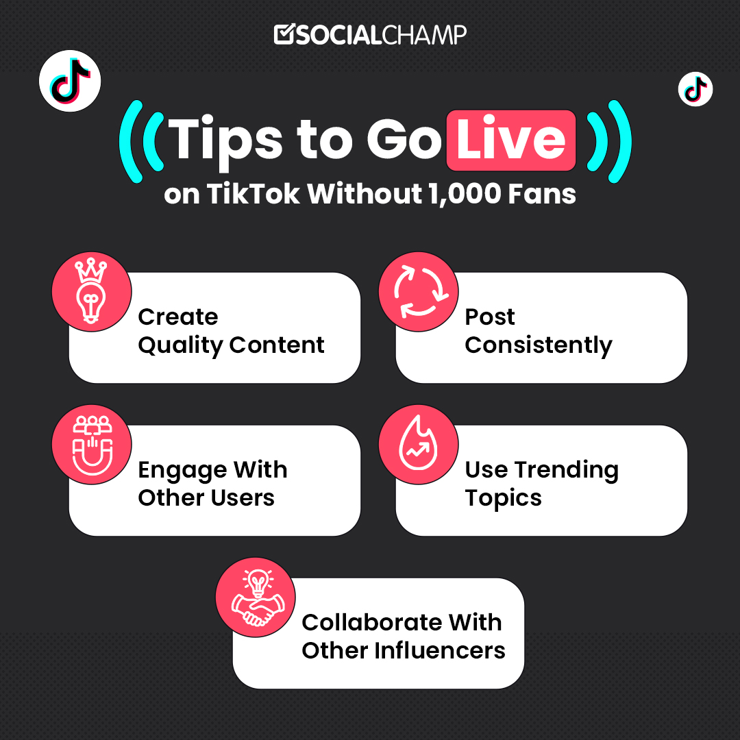 Tips on How to Go Live on TikTok Without 1,000 Fans