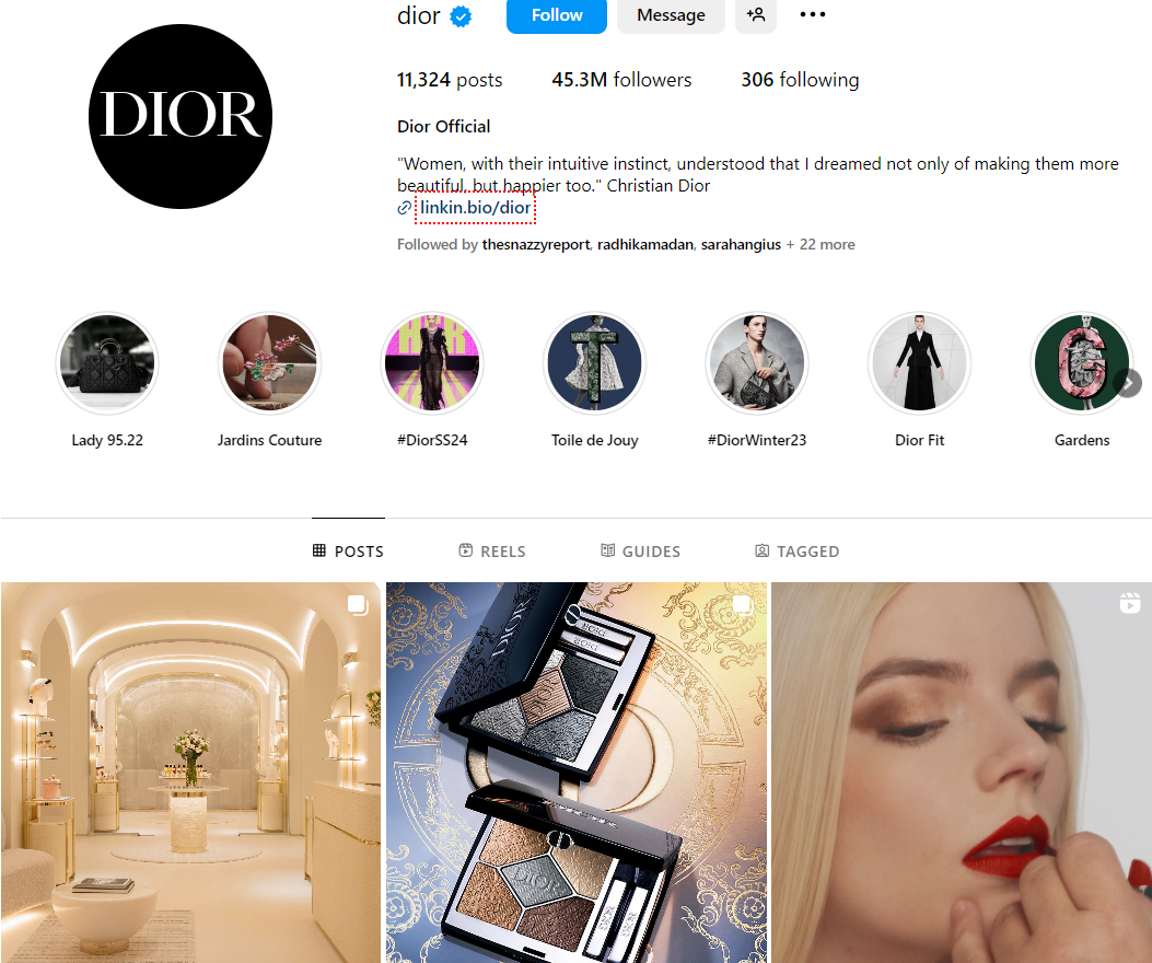 dior-IG/top-influencers