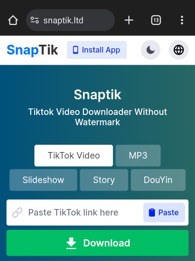 Download a TikTok Video Without the Watermark