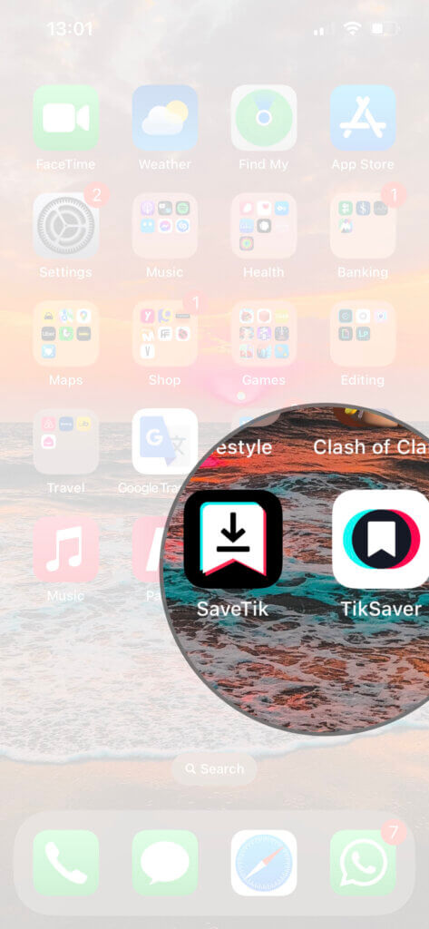 TikTok Watermark Remover App