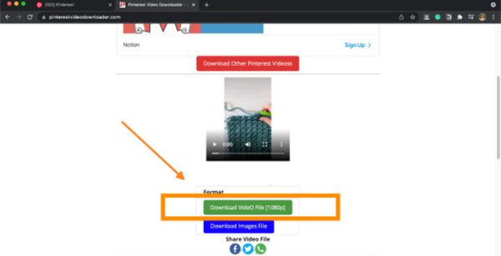 Visual of step 3: Click "Download Video File" Button