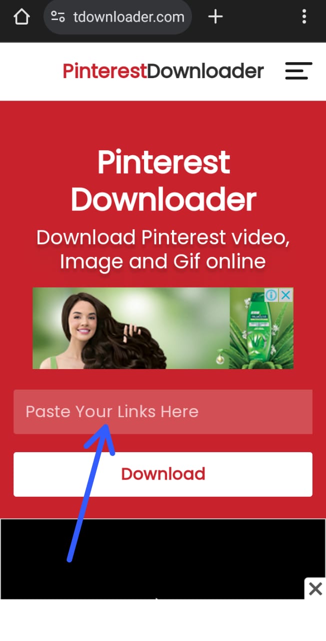 Visual of step 3: Pinterest video downloader