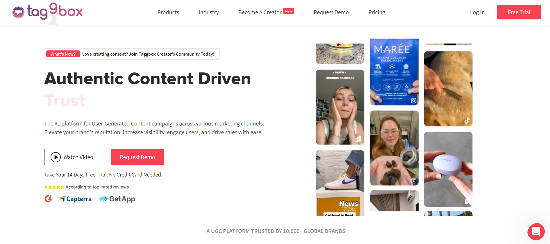 Taggbox - User Generated Content