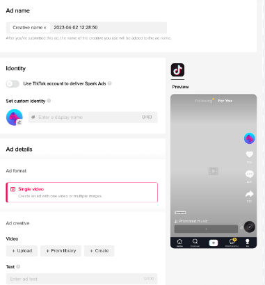 A snapshot of TikTok