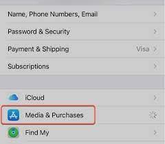 Visual of Media and Purchases 