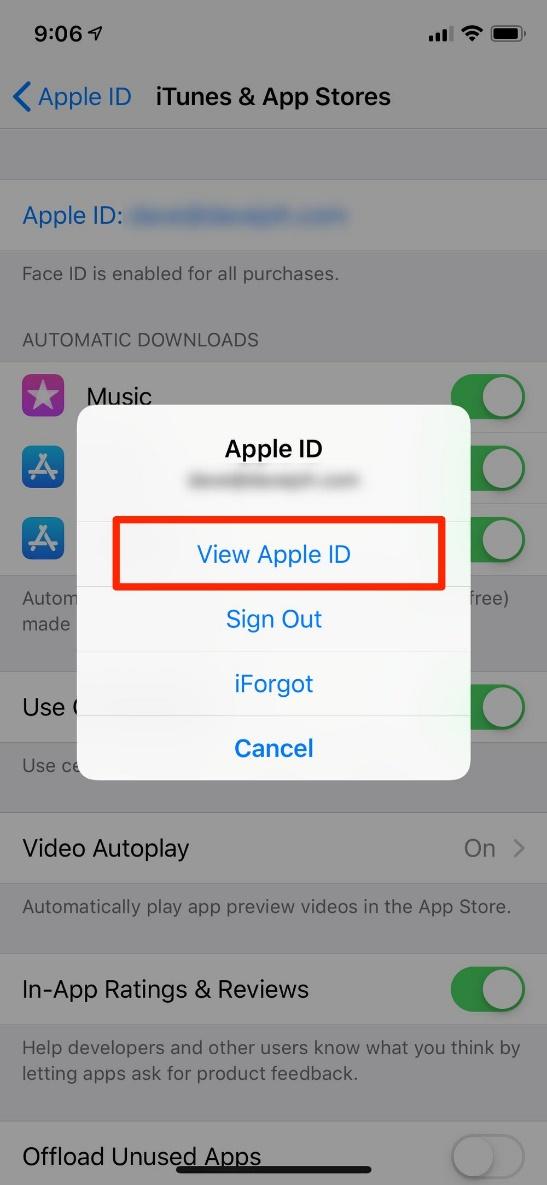 visual of view apple ID