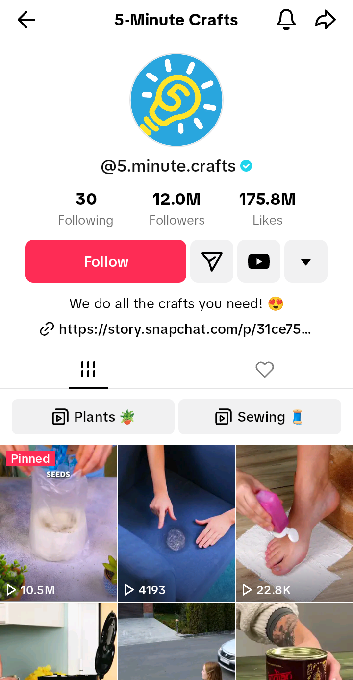 5-minute craft's TikTok bio