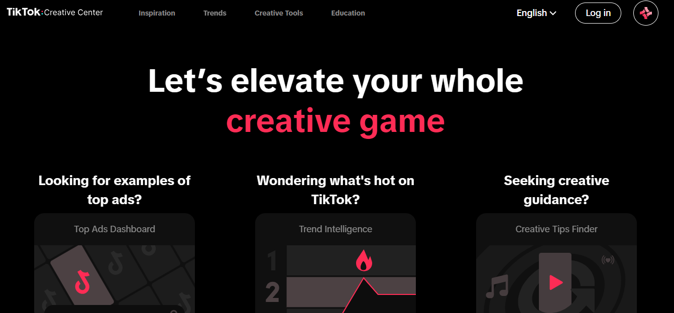 A snapshot of TikTok