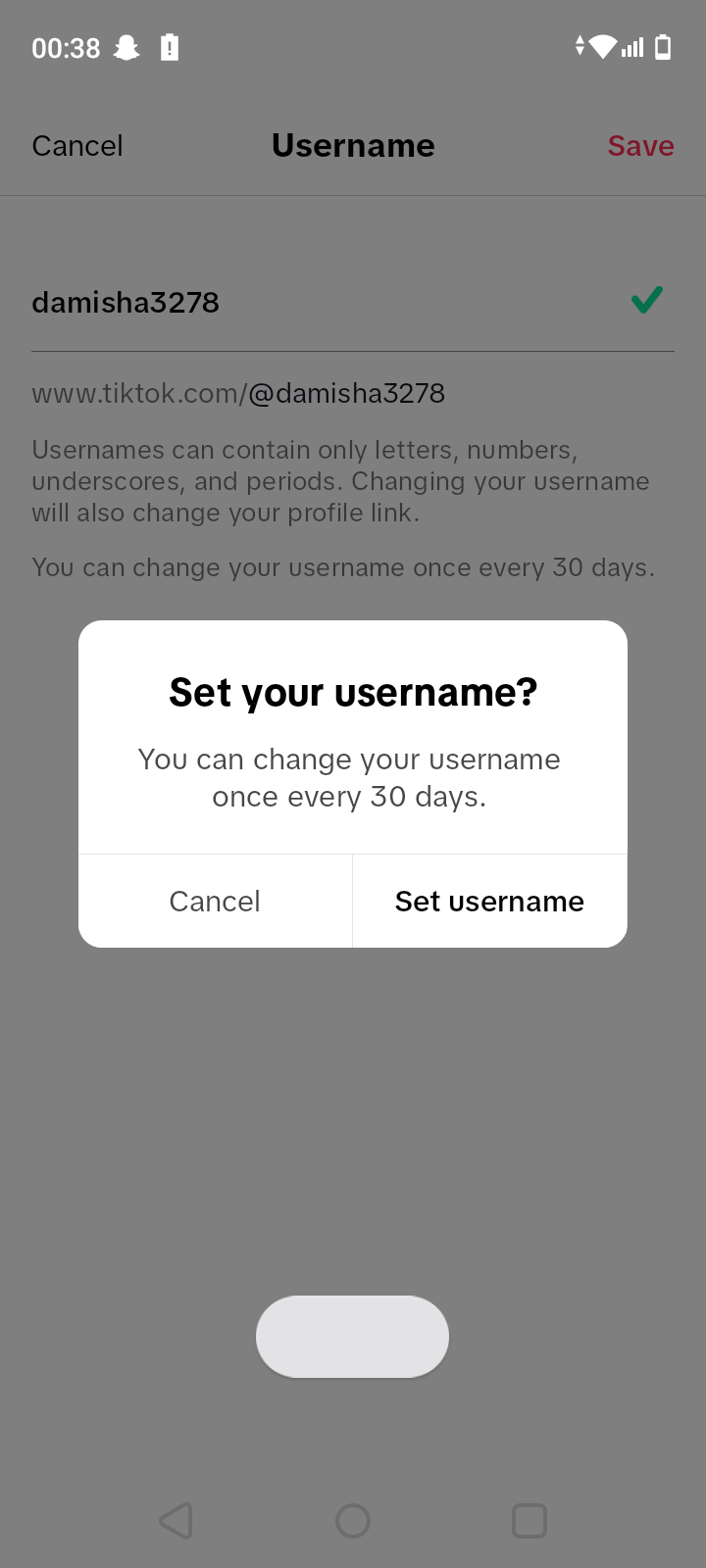 TikTok Username Ideas