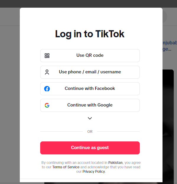 Log in to TikTok visual