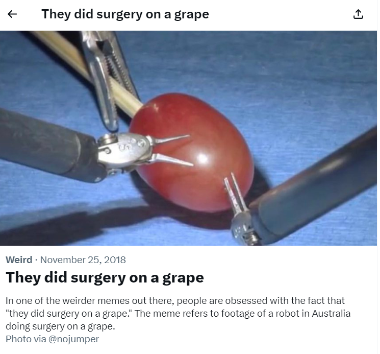 They Did Surgery on a Grape