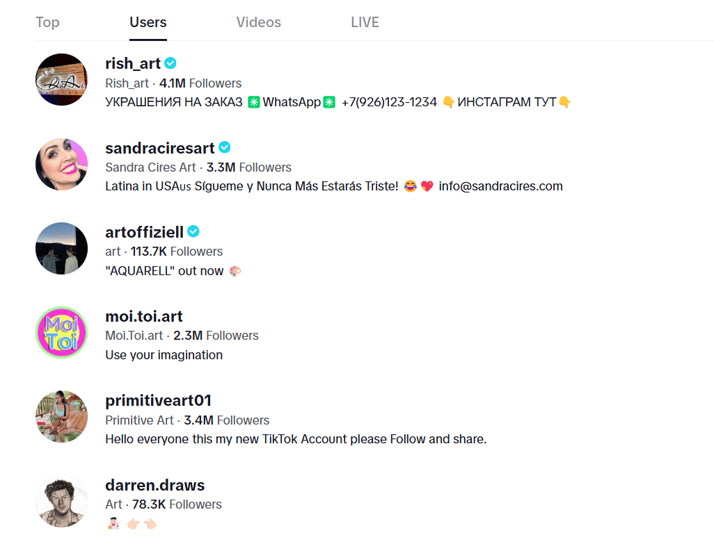 Screenshot of TikTok Art and Photography Accounts