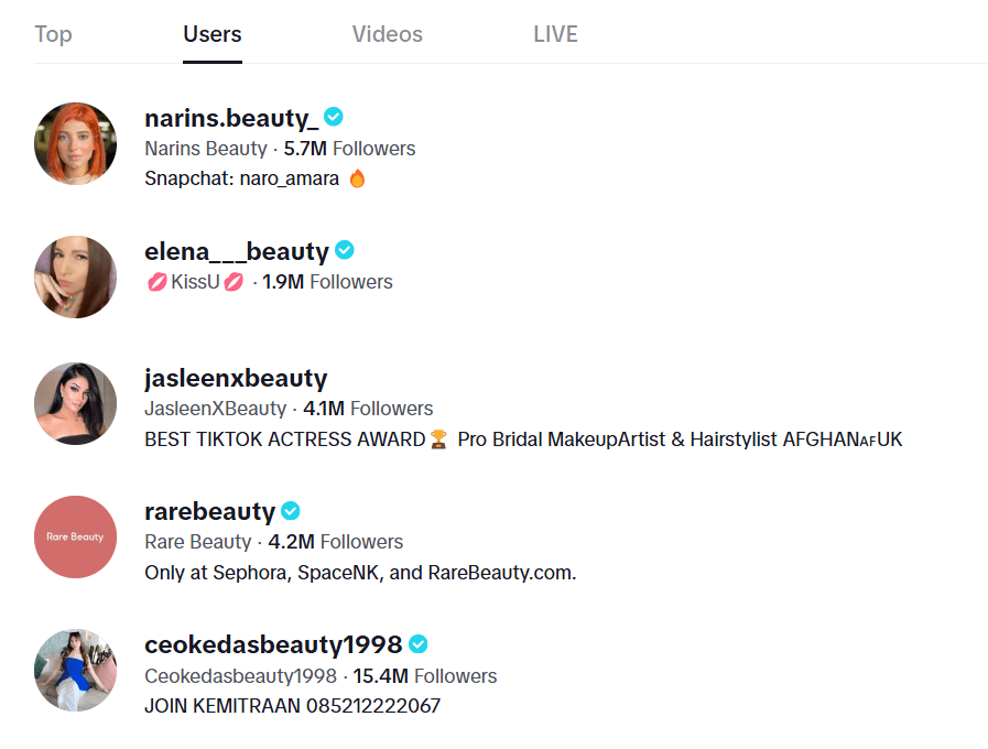 Screenshot of TikTok Beauty and Fashion Accounts