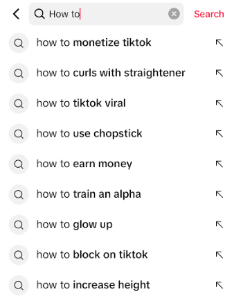 A snapshot of TikTok search engine