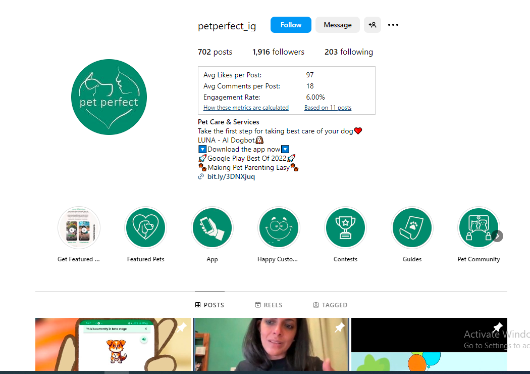 A snapshot of pet care services on Instagram 