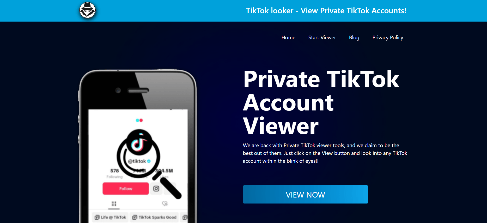 TikTok Looker Home Page