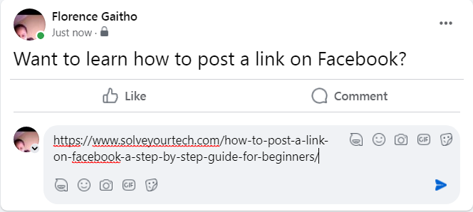 How to Post a Link on Facebook - Way 3 (e)