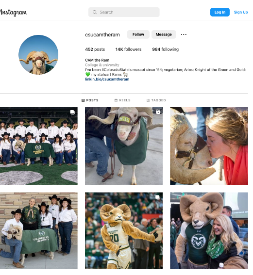 An Instagram page dedicated to a school's mascot, Cam the Ram