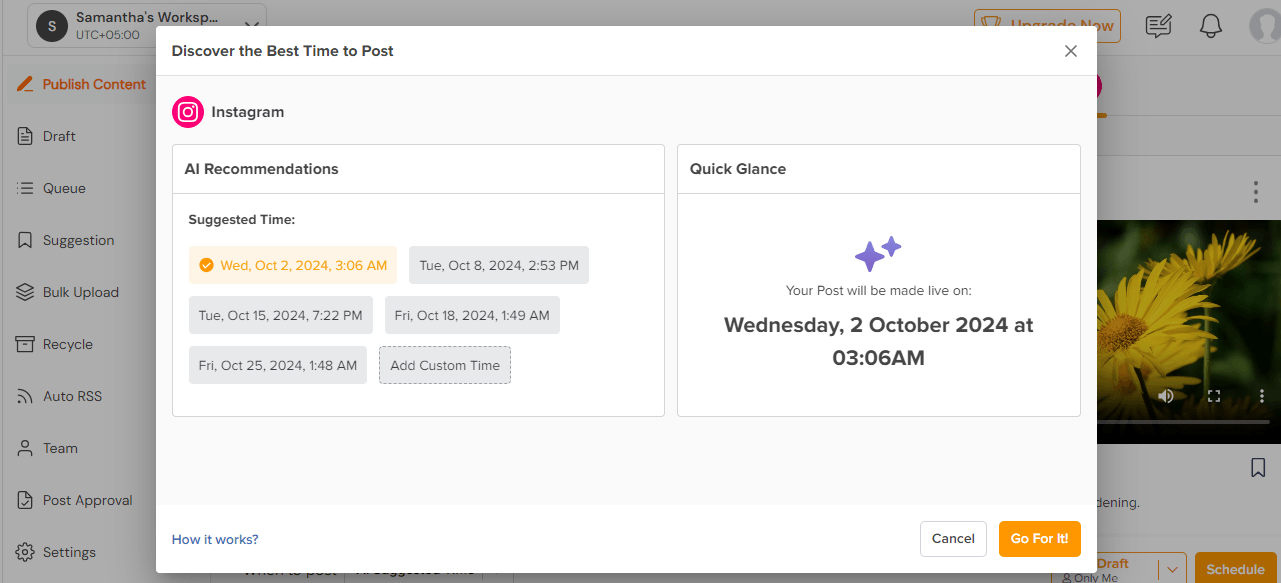 Social Champ's Best Time to Post Recommendations