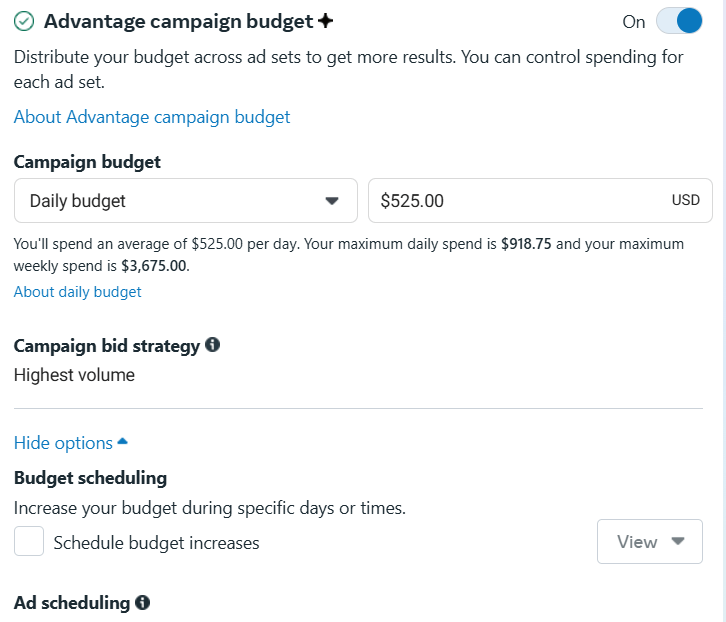 Budget and Schedule Setup Screen.