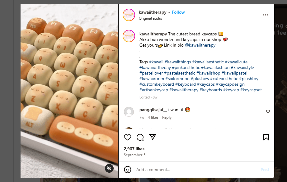 @kawaiitherapy Using Hashtags on Instagram Post