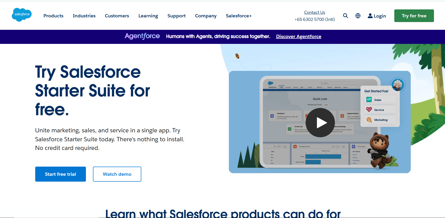 Sales Force’s Homepage