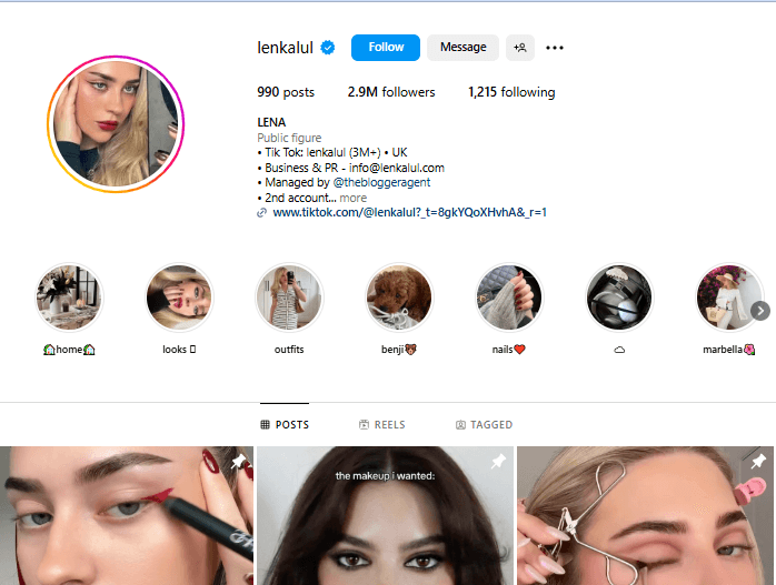 A Screenshot of the Profile of a Mega Influencer (1M+ followers)