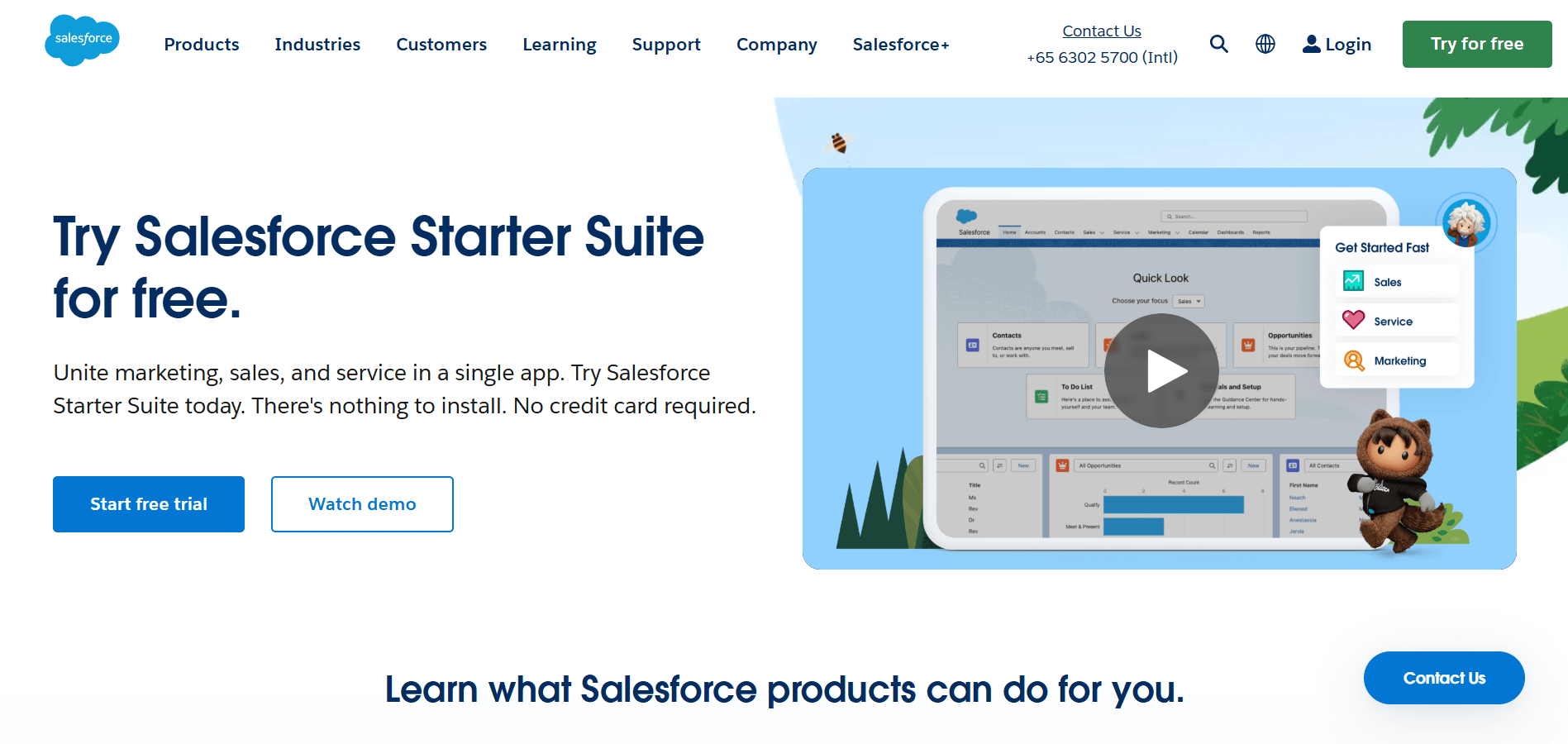 Salesforce’s Home Page